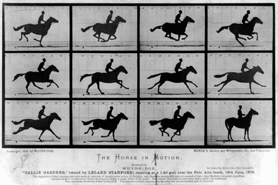 Chronophotographie d'un cheval au galop.