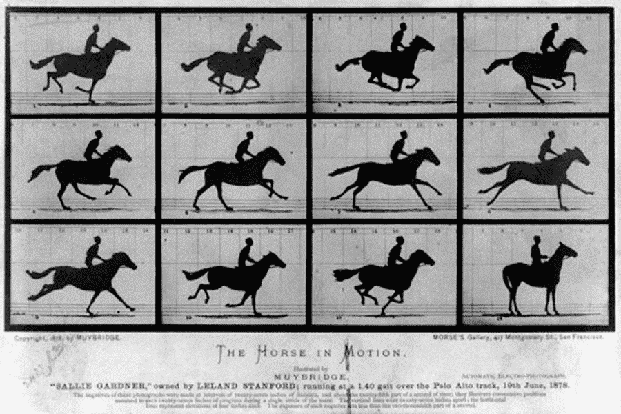 Image mouvement galop cheval